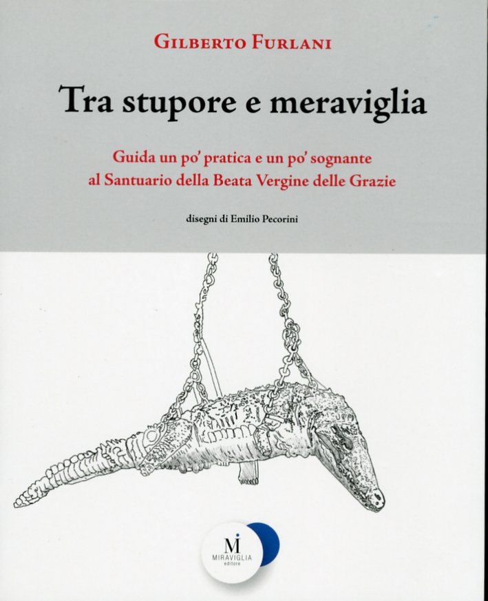 Tra stupore e meraviglia. Guida un po' pratica e un …