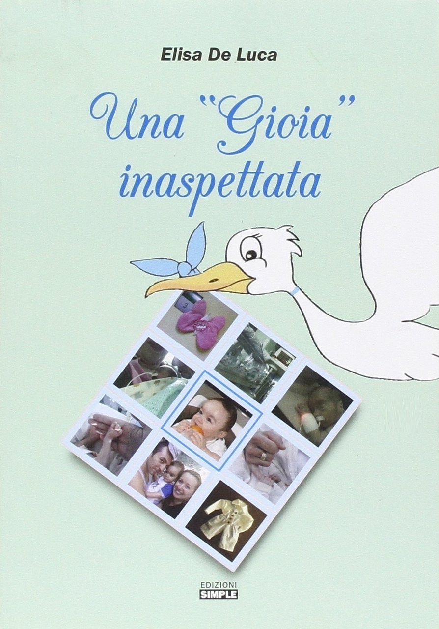 Una "gioia" inaspettata, Macerata, Simple, 2015 | Immagine principale