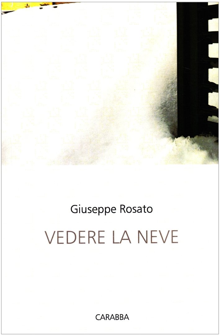 Vedere la neve, Lanciano, Casa Editrice Rocco Carabba, 2011
