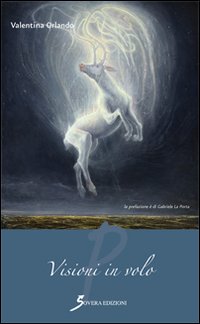 Visioni in volo, Roma, Sovera Edizioni, 2015