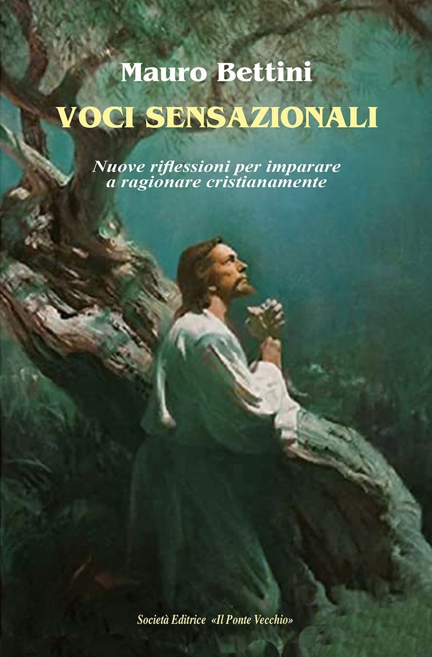 Voci sensazionali. Nuove riflessioni per imparare a ragionare cristianamente, Cesena, …
