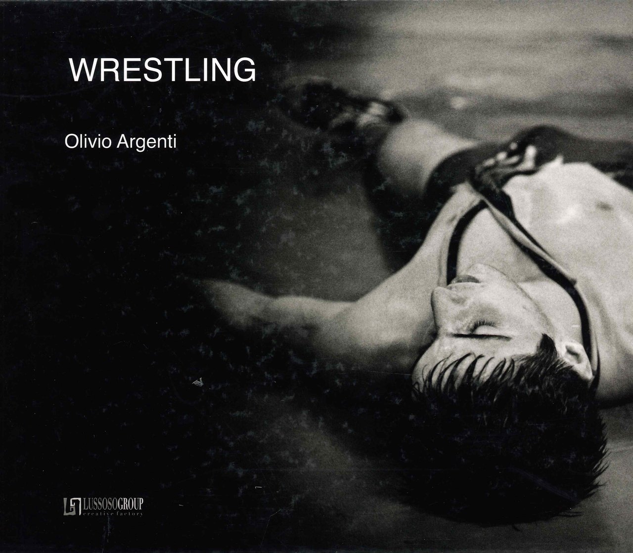 Wrestling, Vercelli, Lussoso Group, 2008 | Immagine principale
