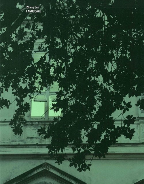 Zhang Enli. Landscape | Immagine principale