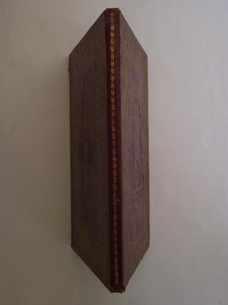 Pia Opera di S. Raffaele da introdursi nelle città, e …