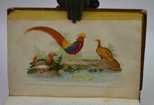 Lettres a Sophie sur la physique, la chimie et l'histoire …