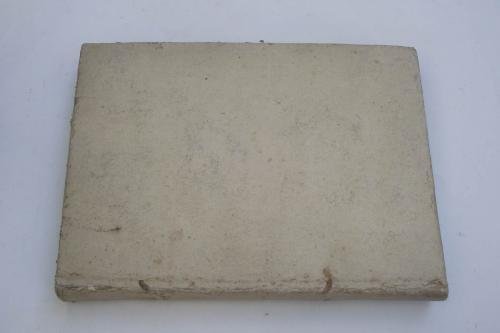 De praecipuis Febribus specimen praticum.