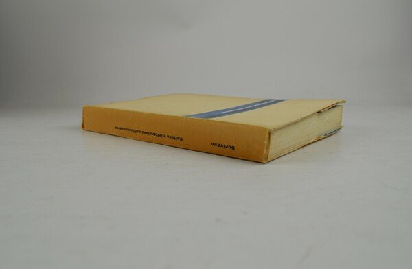 Cultura e letteratura nel Cinquecento.