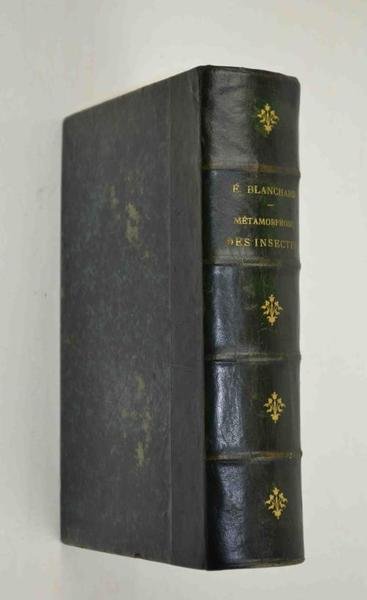 Métamorphoses, moeurs et instincts des insectes...