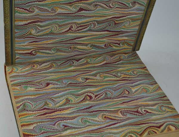 Nos oiseaux. | Immagine Gallery 2