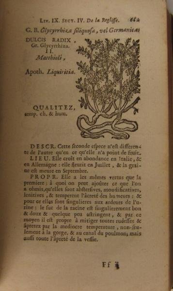 Histoire des plantes de l'Europe et des plus usitées qui … | Immagine Gallery 2