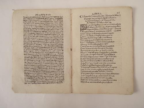 Ioannis Francisci Camoeni Miradoniae libri duo continentes aeglogas, epithalamium, elegias, …