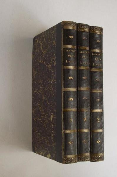 L'Esprit de la Ligue, ou histoire politique des troubles de …