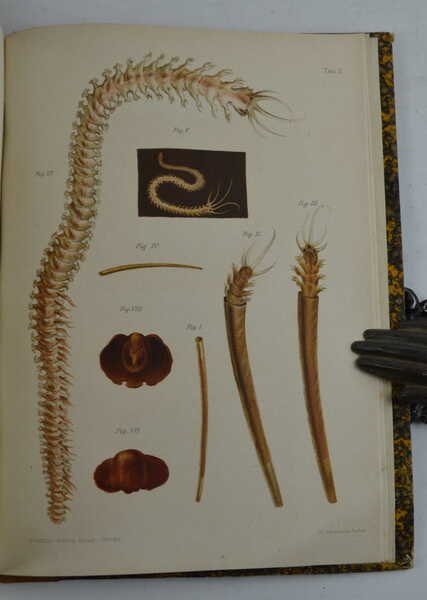 Viaggio in Oriente. Relazione ordinata e compilata sui giornali del …