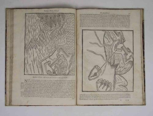 Corona, e Palma militare di Artiglieria, nella quale si tratta …