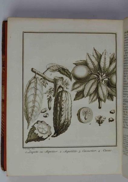 Histoire générale des voyages, ou nouvelle collection de toutes les … | Immagine Gallery 2