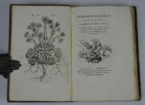 Dissertationes Tres. De Aponi Thermis: de Nonnullis Insectis Terrestribus, & … | Immagine principale