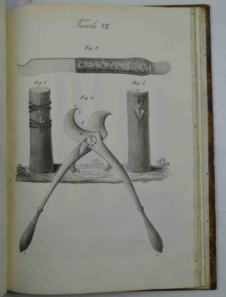 L'educazione del gelso compiuta in sette anni e dimostrata… Trattato … | Immagine Gallery 2