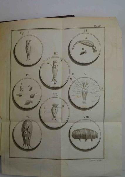 Opuscules de physique, animale et végétale… Traduits de l'italien… par …