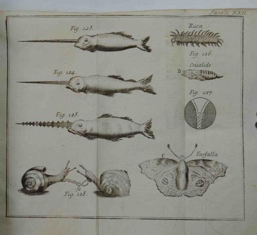 Gramatica delle scienze filosofiche. O breve analisi della filosofia moderna …