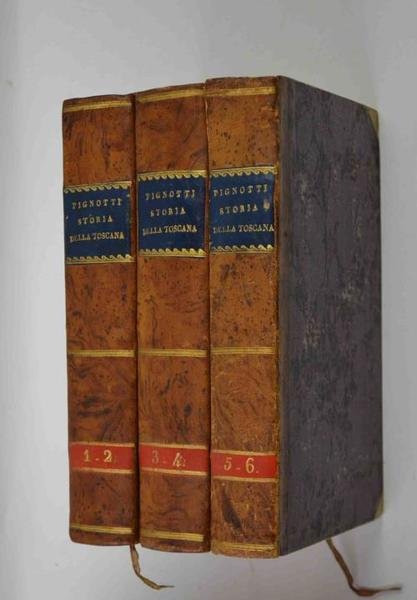 Storia della Toscana sino al Principato con diversi saggi sulle …
