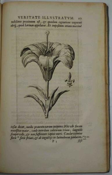 Lilium francicum, veritate historica, botanica, et heraldica illustratum.