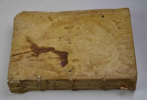 Nuovo leggendario della vita di Maria Vergine immacolata madre di … | Immagine Gallery 5