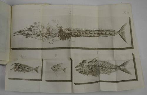 Compendio della Verona illustrata principalmente ad uso de' forestieri… Coll'aggiunta …