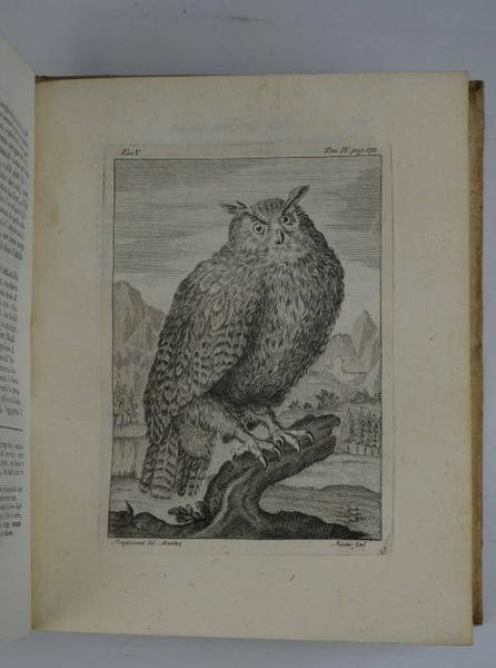 Opuscoli scelti sulle Scienze e sulle Arti… Tomo IV.