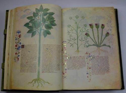 Historia plantarum.
