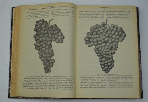 Il mese agricolo. Illustrazione mensile del campo, dell'orto e del … | Immagine principale