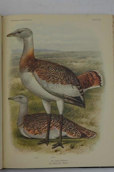 Ornithologia Neerlandica. De Vogels van Nederland.
