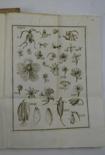 Anthologia sive de floris natura libri tres plurimis inventis, observationibusque, …