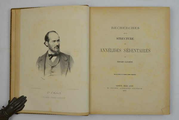 Recherches sur la structure des annélides sédentaires… | Immagine principale