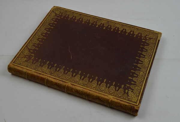 Recherches sur la structure des annélides sédentaires… | Immagine Gallery 2