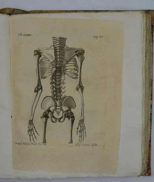 Disputationes ad morborum historiam ed curationem facientes…