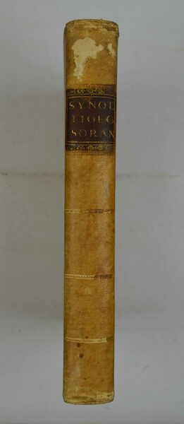 Synodus Dioecesana ab illustriss. et reverendiss. domino d. Matthio Gagliano … | Immagine Gallery 4