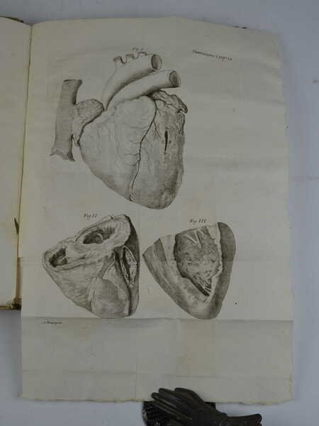 Saggio d'osservazioni, e memorie sopra alcuni casi singolari riscontrati nell'esercizio … | Immagine principale