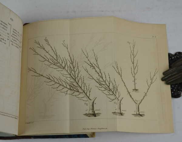 Saggi di agricoltura pratica sulla coltivazione dei gelsi e delle … | Immagine Gallery 2