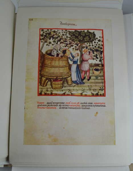 Theatrum sanitatis. Codice 4182 della R. Biblioteca Casanatense.