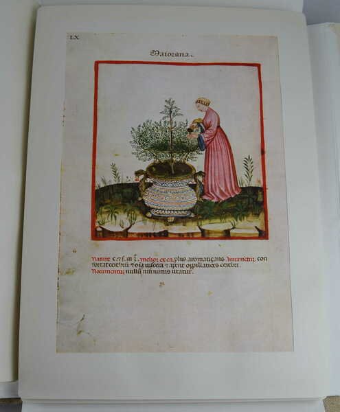Theatrum sanitatis. Codice 4182 della R. Biblioteca Casanatense.