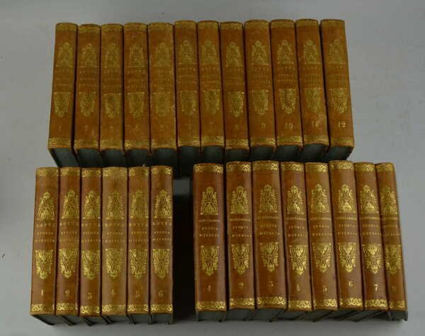 Storia d'Italia… alla miglior lezione ridotta dal professore Giovanni Rosini… | Immagine principale