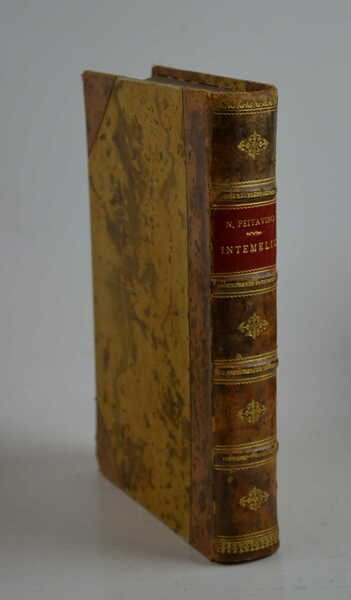 Intemelio Conversazioni storiche, geologiche e geografiche sulla città e sul …