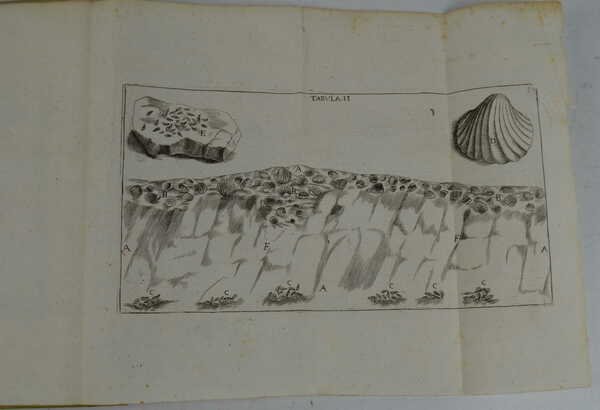 De' corpi marini che sù Monti si trovano; della loro …