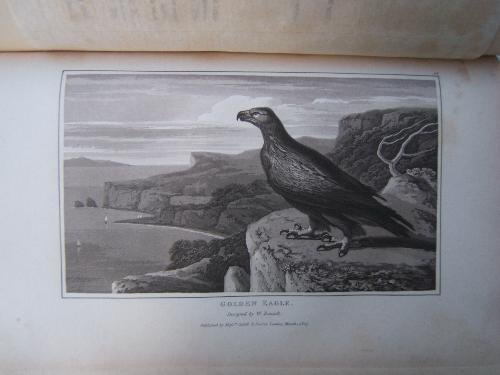 Zoography; or the Beauties of Nature Displayed in select descriptions … | Immagine principale