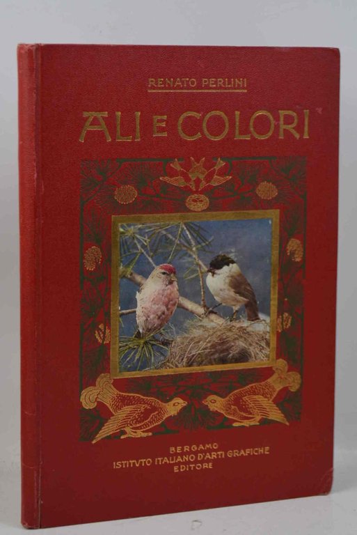 Ali e colori. XXIV tavole originali che riproducono nel loro … | Immagine Gallery 1