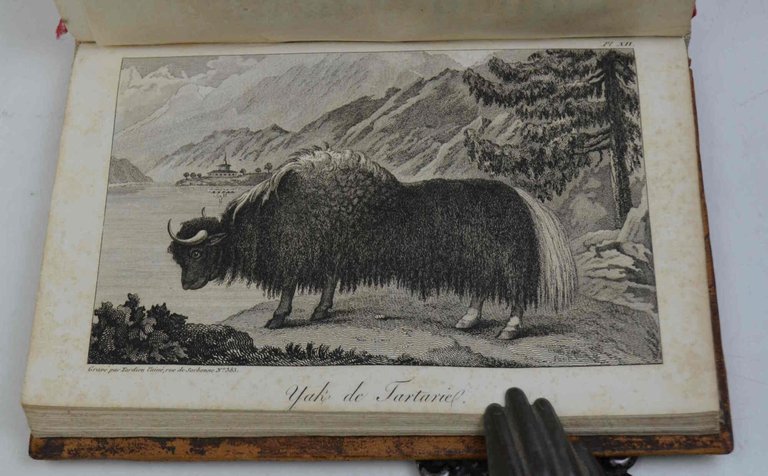 Ambassade au Thibet et au Boutan, contenant des déteilas très-curieux … | Immagine Gallery 3