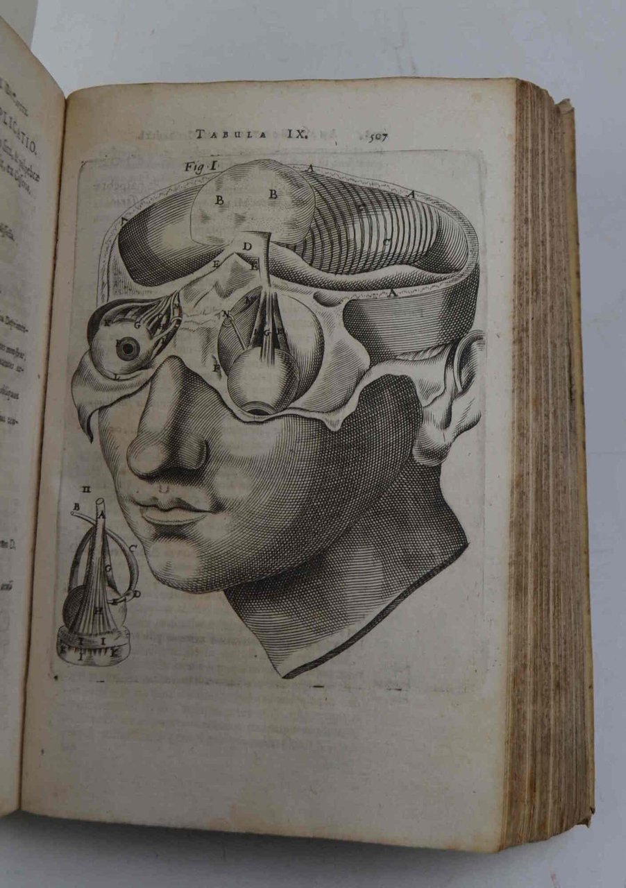 Anatome quartum renovata: non tantum ex Institutionibus b. m. Parentis, … | Immagine principale