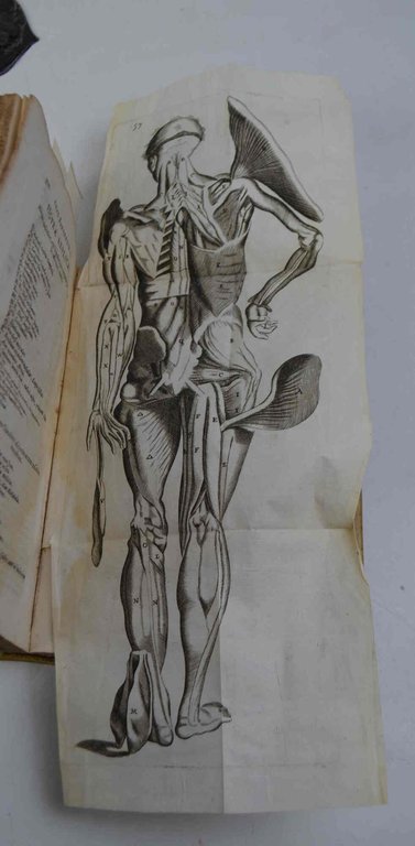 Anatome quartum renovata: non tantum ex Institutionibus b. m. Parentis, … | Immagine Gallery 2