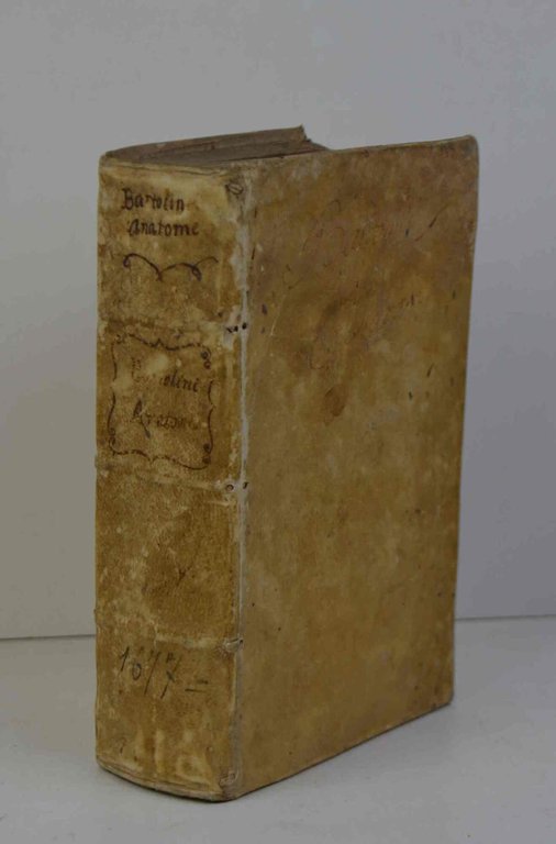 Anatome quartum renovata: non tantum ex Institutionibus b. m. Parentis, … | Immagine Gallery 3