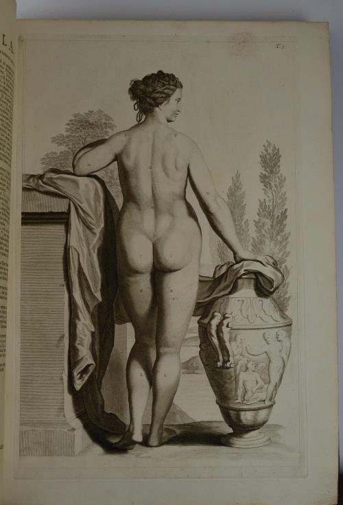 Anatomia corporum humanorum. accedunt ejusdem introductio in oeconomia animalium, et …